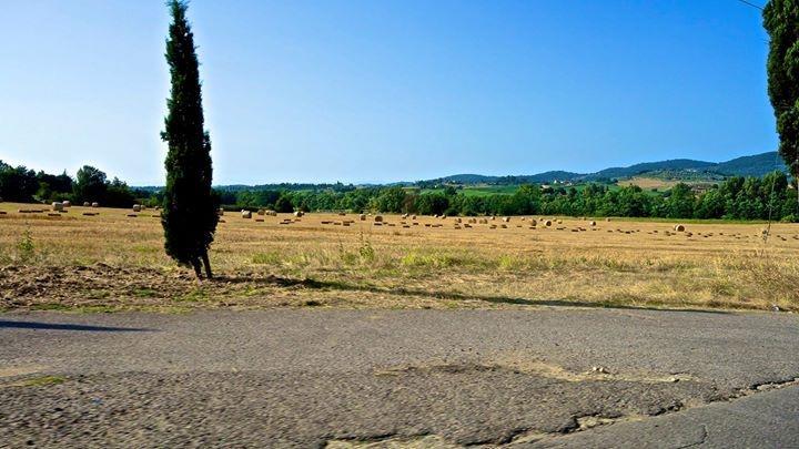 Appartamento Old England In Chianti Montespertoli Exterior photo